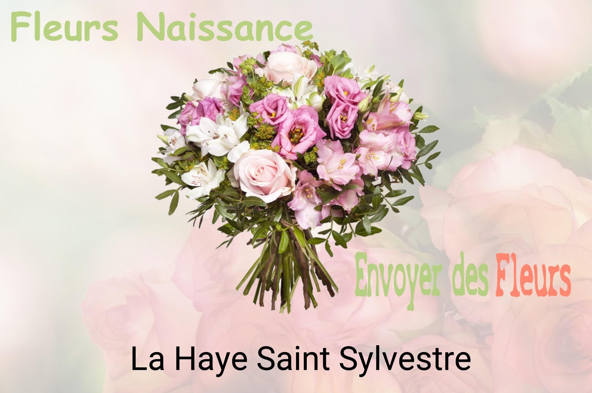 Bouquet de fleurs de naissance livré à La Haye-Saint-Sylvestre